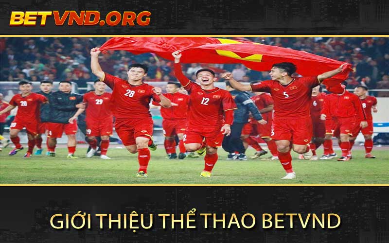 Giới thiệu thể thao Betvnd