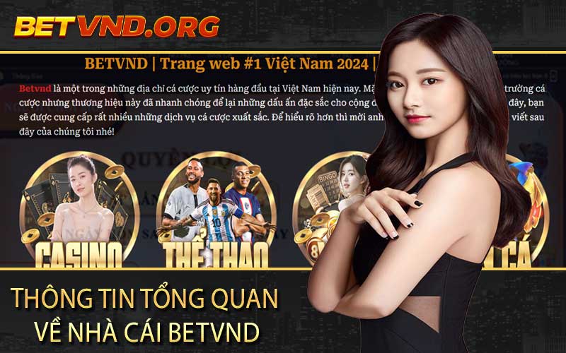 Thông tin tổng quan về nhà cái betvnd