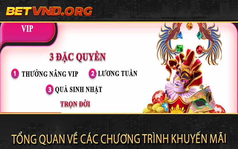 Tổng quan về các chương trình khuyến mãi Betvnd 